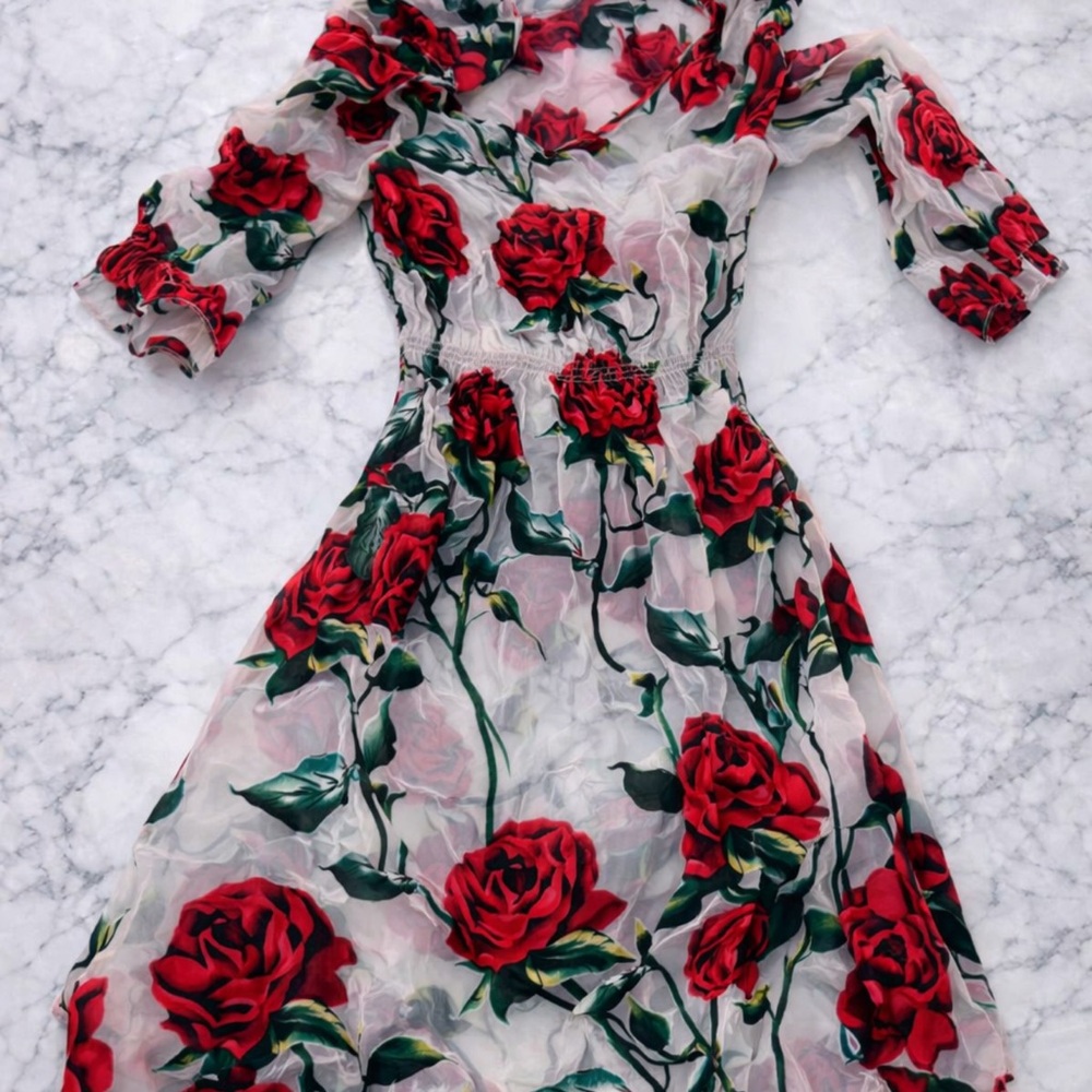 🌹 Sheer Red Rose Silk Dress | XS | Handmade